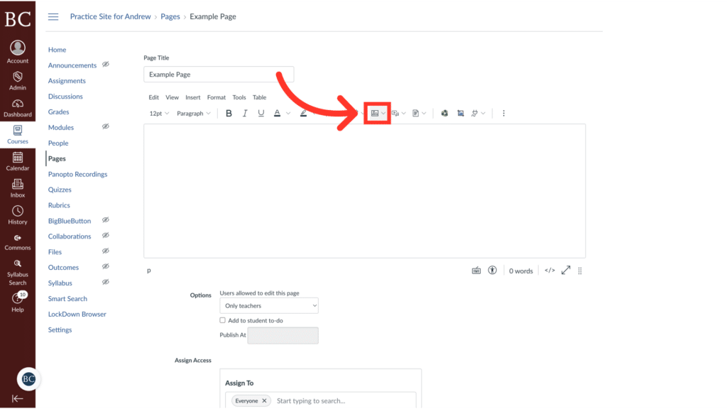 A webpage editor interface with text formatting options and an arrow pointing to a "film" icon. Sidebar shows page management tools.