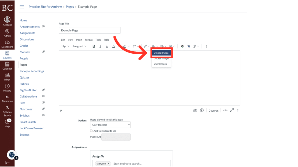 Screenshot of a webpage editing interface, showcasing text formatting tools with a prominent red arrow pointing to an editing icon.