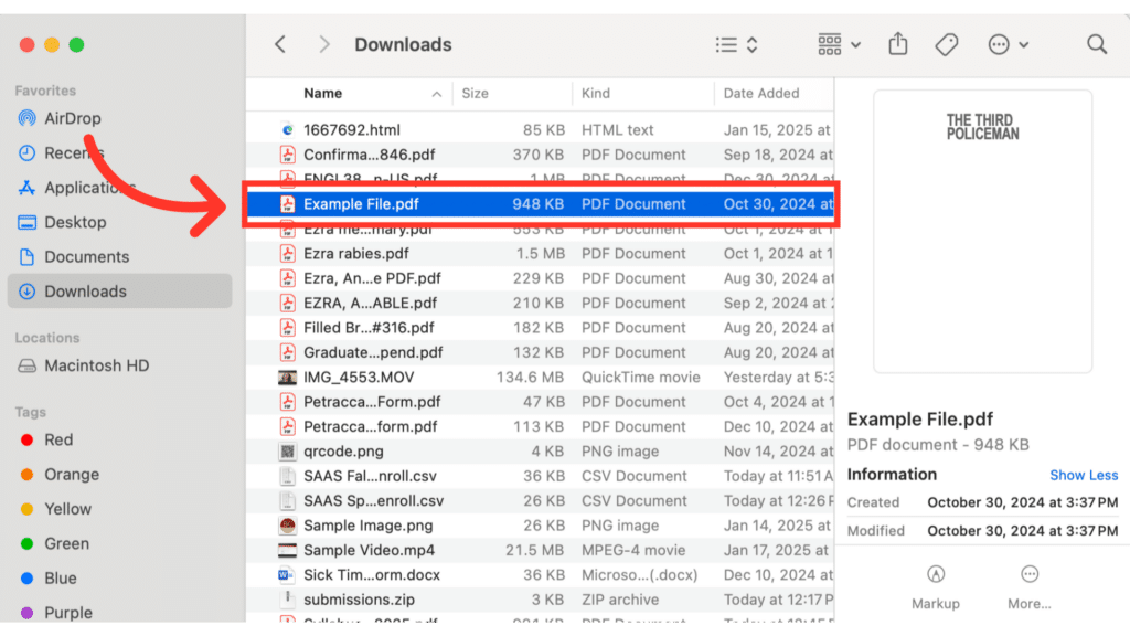 Computer screen showing a file directory with a highlighted PDF titled "Example File.pdf," dated October 30, 2024. No landmarks or people.