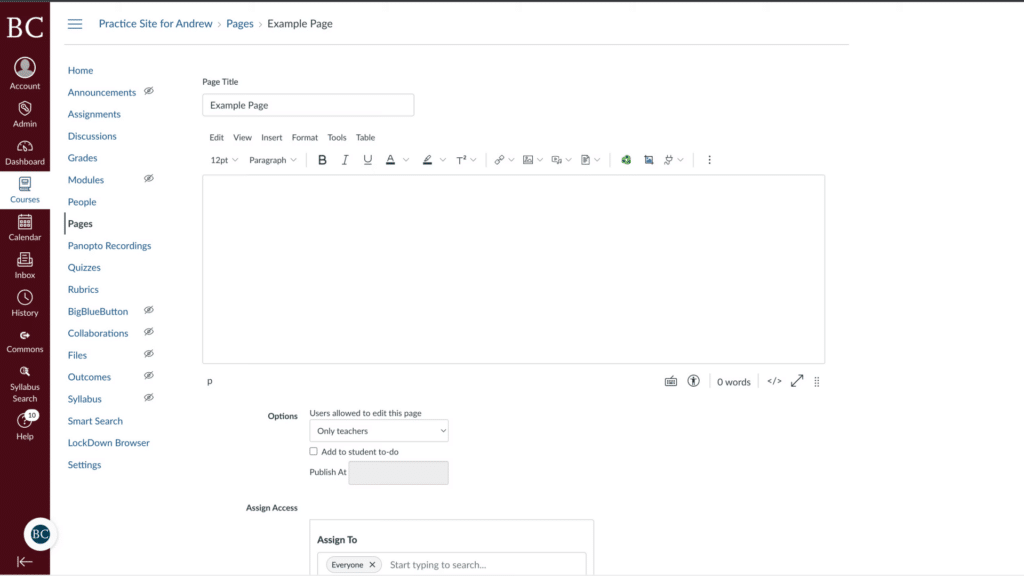 Screenshot of an online educational platform page, displaying editing options and settings for creating an example webpage.