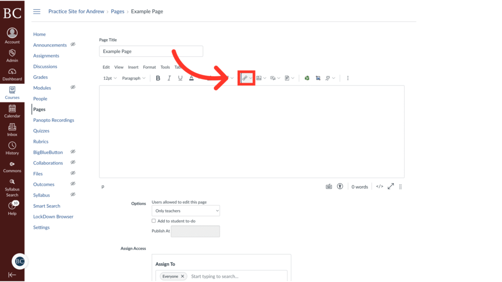 Screenshot of an online page editing interface with various text tools. A red arrow points to an icon for embedding media.