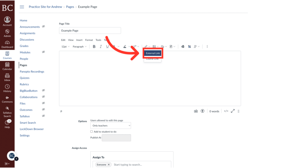 Screenshot of an online course management system interface, showing a page editing screen with an arrow pointing to the "External Link" button.