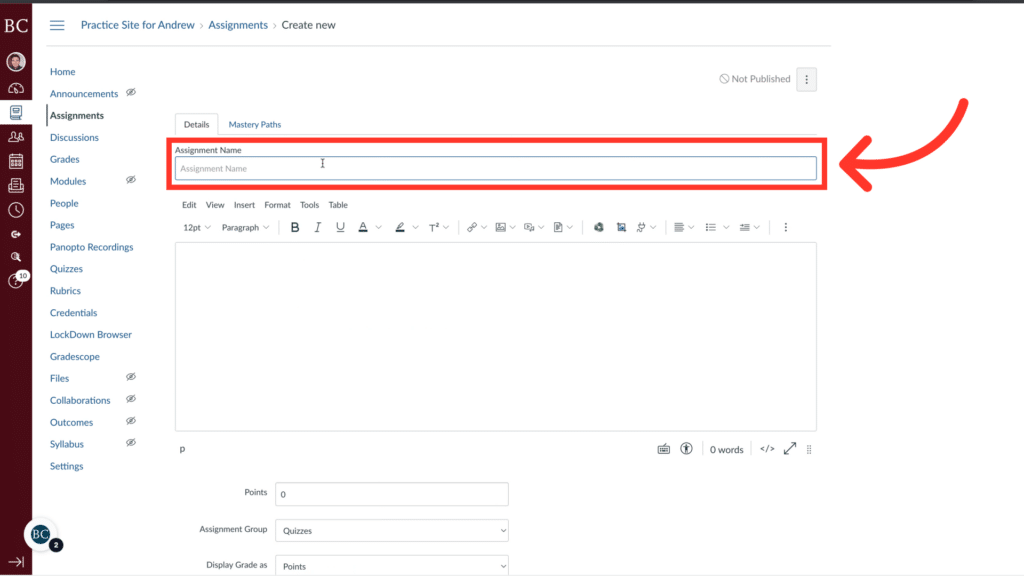 Screenshot of an online educational platform's assignment creation screen, highlighting the "Assignment Name" field with a red box and arrow.