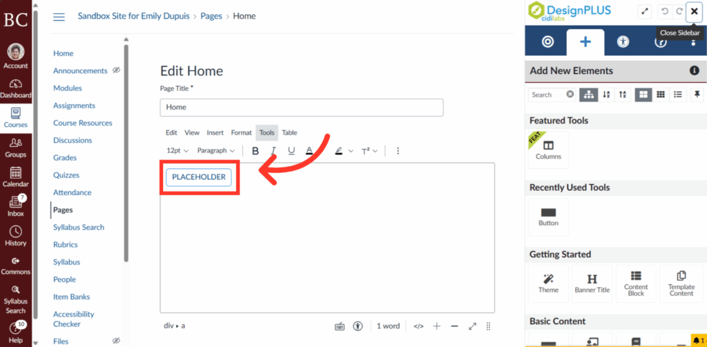 Screenshot of a website editing page showing a text editor with the word PLACEHOLDER highlighted and pointed to by a red arrow; website navigation and editing tools appear on the left and right sides.